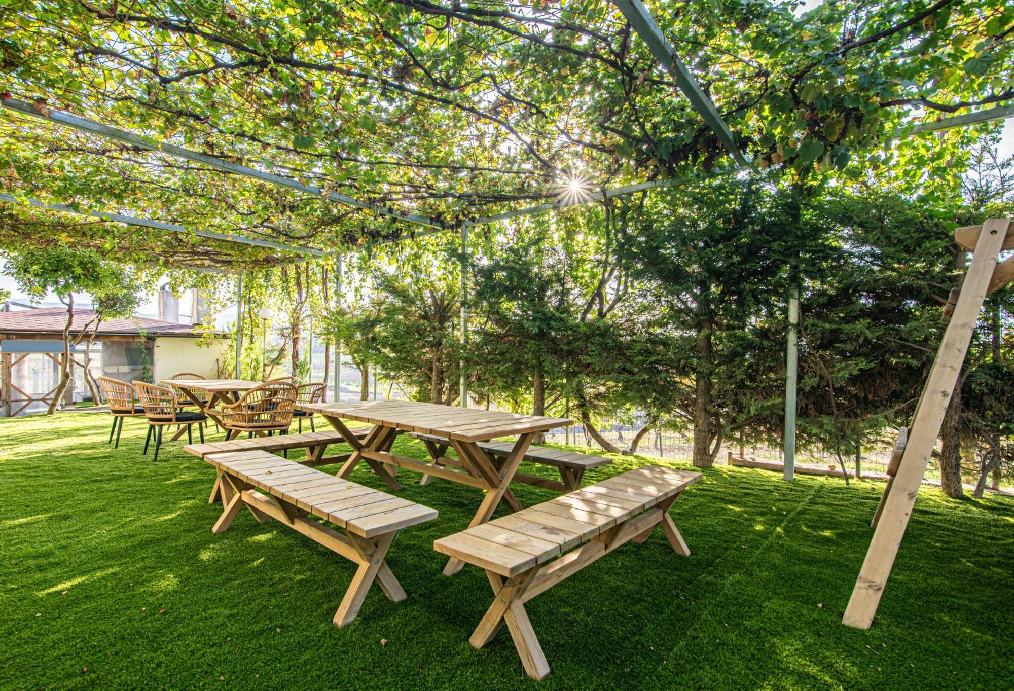 Chamomile Apartment Oinofyta Экстерьер фото